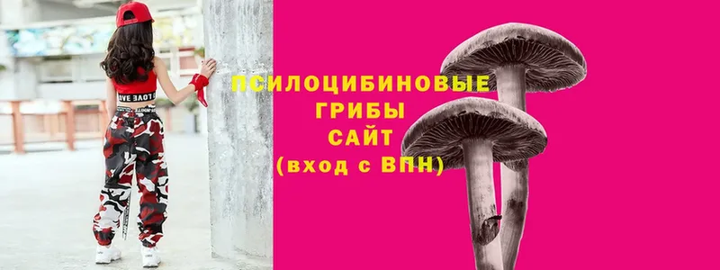 блэк спрут рабочий сайт  Верея  Галлюциногенные грибы мухоморы 